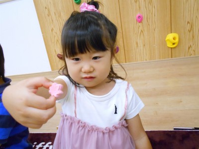 DSCN6178