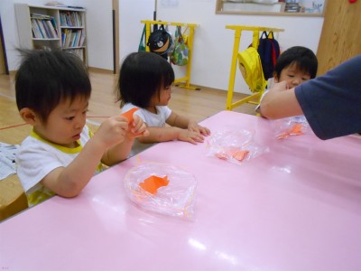 DSCN6325