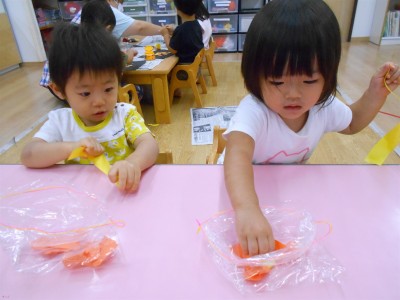 DSCN6327