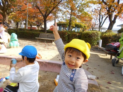 DSCN6622